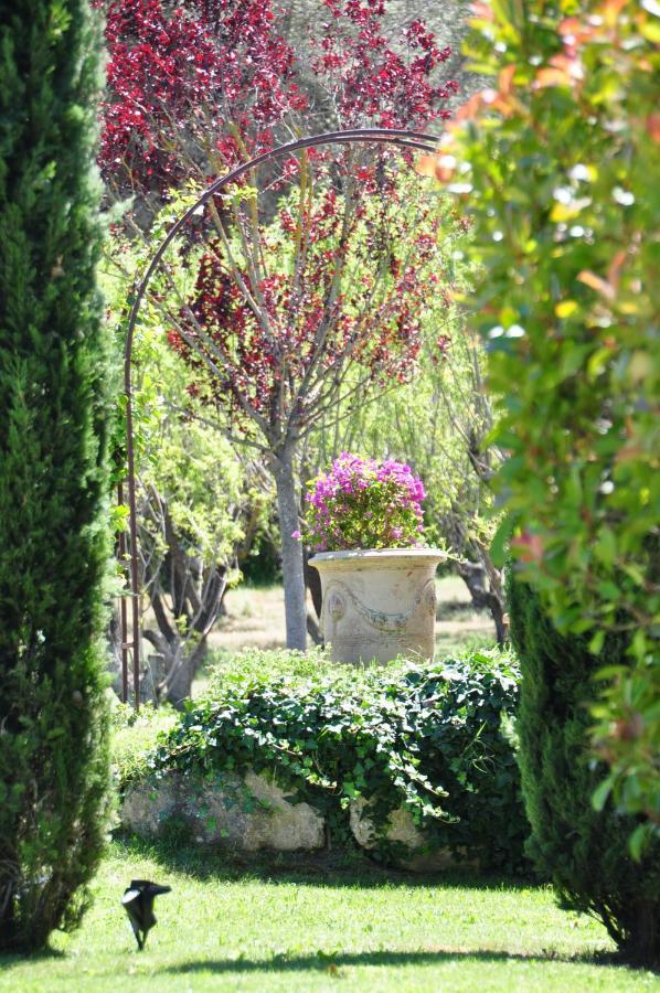 Le Jardin Des Amandiers Chateaurenard Bagian luar foto
